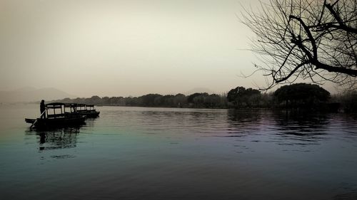 Reflection of trees in lake