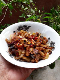 High angle view of person holding food in bowl