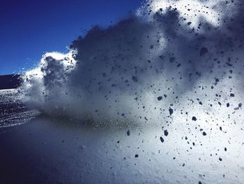Close-up of tree against sky