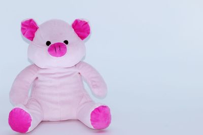 Close-up of stuffed toy against white background