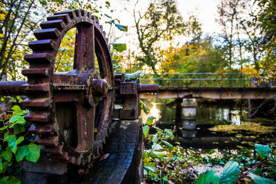 Close-up of rusty metallic bridge against plants