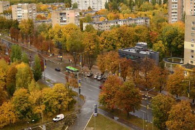 High angle view of street amidst trees in city