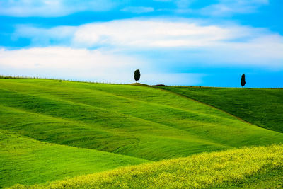 Scenic view of grassy field against cloudy sky