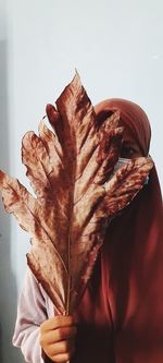 Close-up of person holding dry leaf