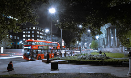 Illuminated street lights by trees in city at night