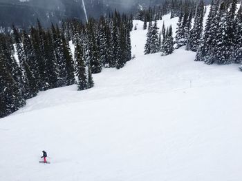 Rear view of man skiing on snow covered landscape