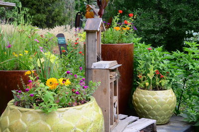 Potted plants in garden