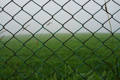 Full frame shot of chainlink fence