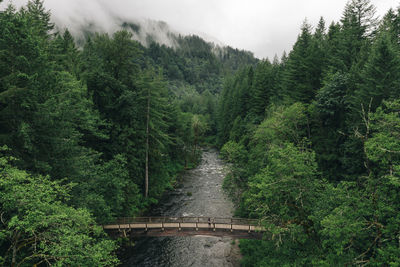 A young couple enjoys a hike on a bridge in the pacific northwest.