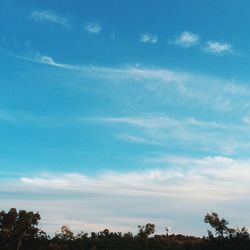 Low angle view of trees against cloudy sky