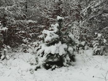 Snow on field during winter