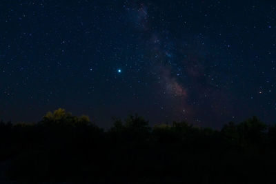 Low angle view of silhouette trees against sky at night