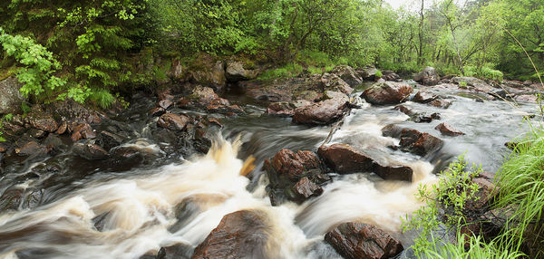 Stream flowing through rocks in forest