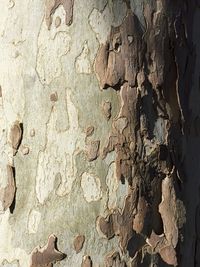 Full frame shot of weathered wall