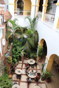 High angle view of tree on table