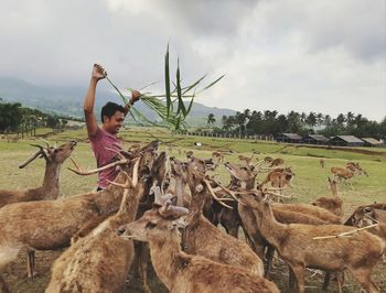 Feeding deer