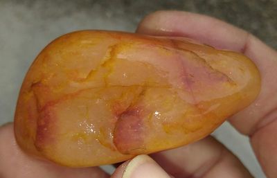Close-up of hand holding apple