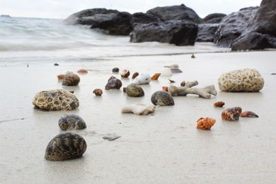 Rocks on beach