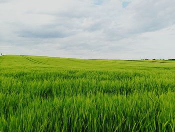 Scenic view of field against cloudy sky