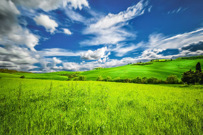 Scenic view of grassy landscape against sky