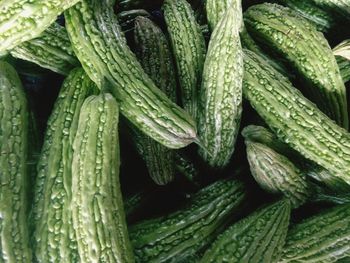 Full frame shot of green bittergourd