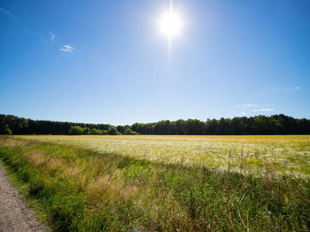 Scenic view of field against sky on sunny day