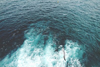 High angle view of splashing sea