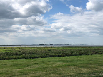 Scenic view of field against sky