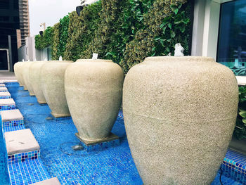 Close-up of potted plants against building
