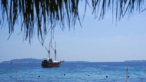 Sailboat sailing on sea against sky