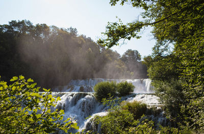 Scenic view of waterfall against trees in forest
