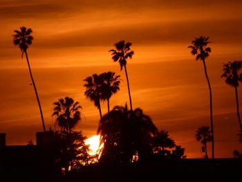 Silhouette palm trees against sky during sunset