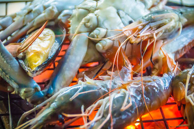 Close-up of fish for sale in market