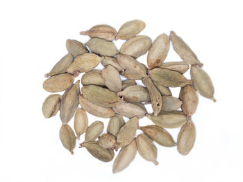 Close-up of dry leaves on white background