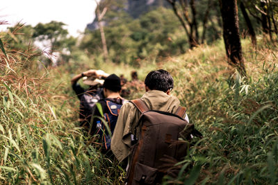 Rear view of men hiking in forest