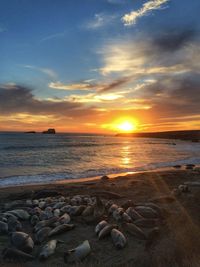 Scenic view of sea against sky during sunset