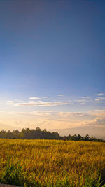 Scenic view of field against sky during sunset