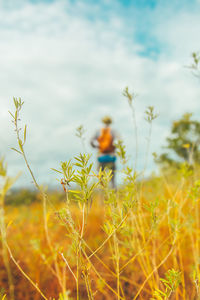 Close-up of yellow flowering plants on field