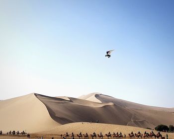 Low angle view of  flying trike  above dunes