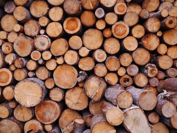 Full frame shot of logs