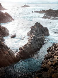 Scenic view of sea shore