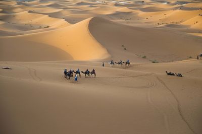 People riding camels at desert