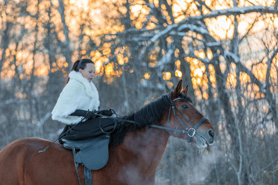 A girl in a white cloak rides a brown horse in winter. golden hour, setting sun.