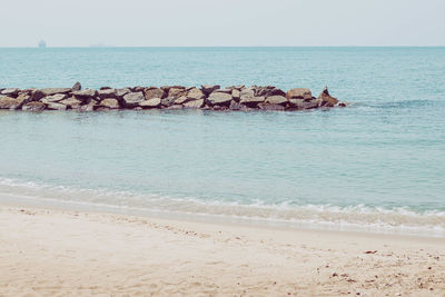 Scenic view of sea against clear sky