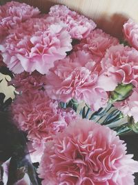 Close-up of pink flowers