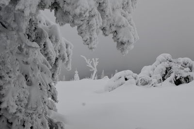 Snow covered land against sky