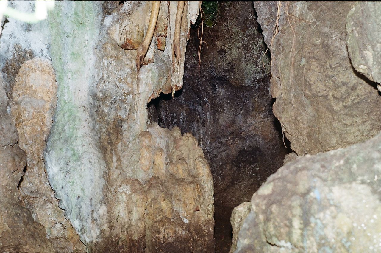 FULL FRAME SHOT OF TREE TRUNK ROCK