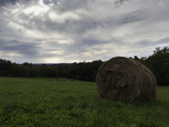 Hay bales on field against sky