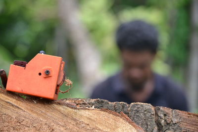 Close-up of toy on tree stump against man