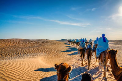 Rear view of people riding camels at desert